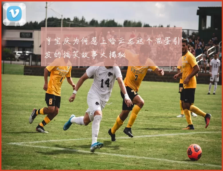 亨宝庆为何惹上哈云龙这个混蛋引发的搞笑故事大揭秘